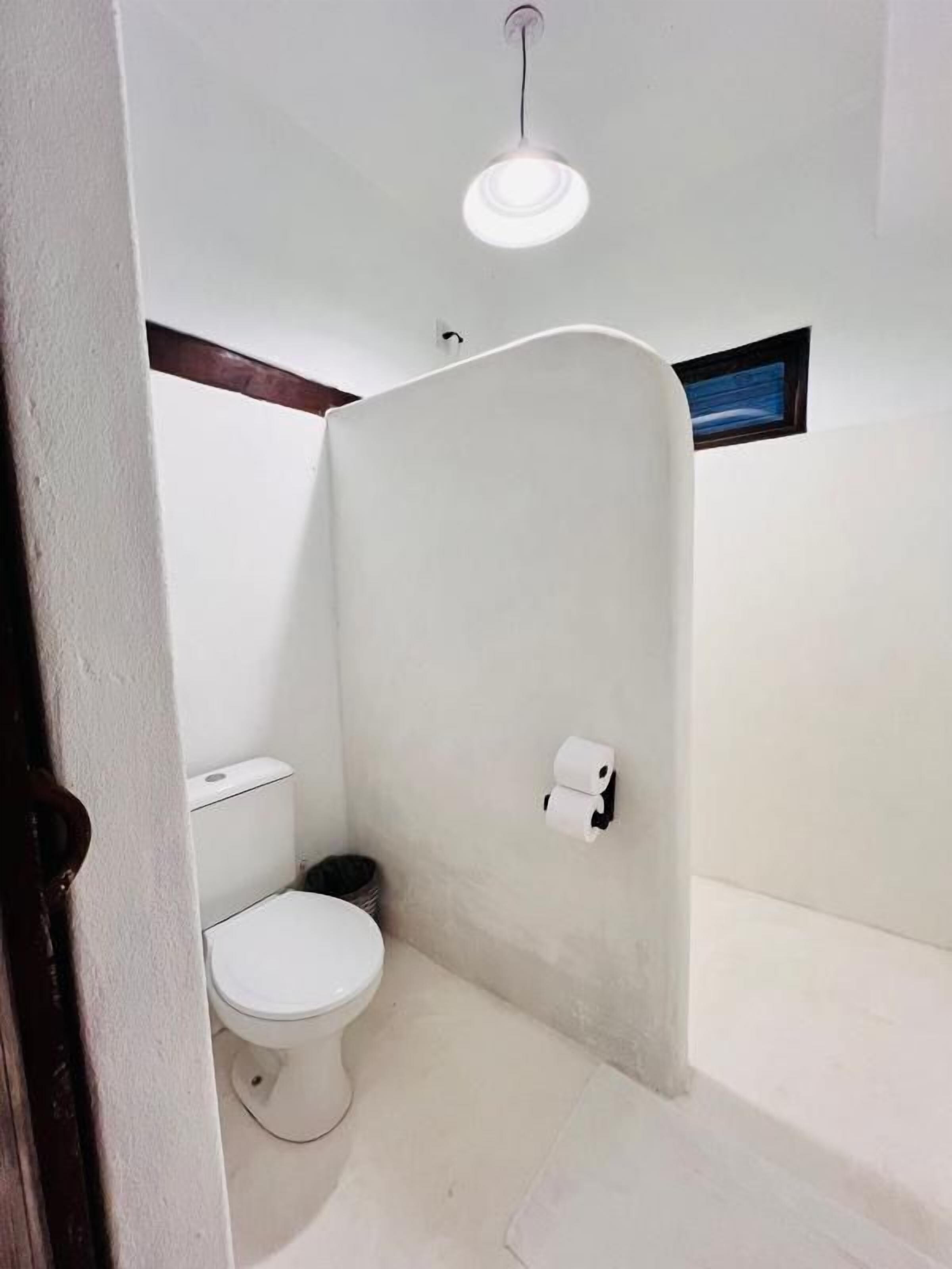 A small bathroom with a toilet, a shower, and a ceiling light.