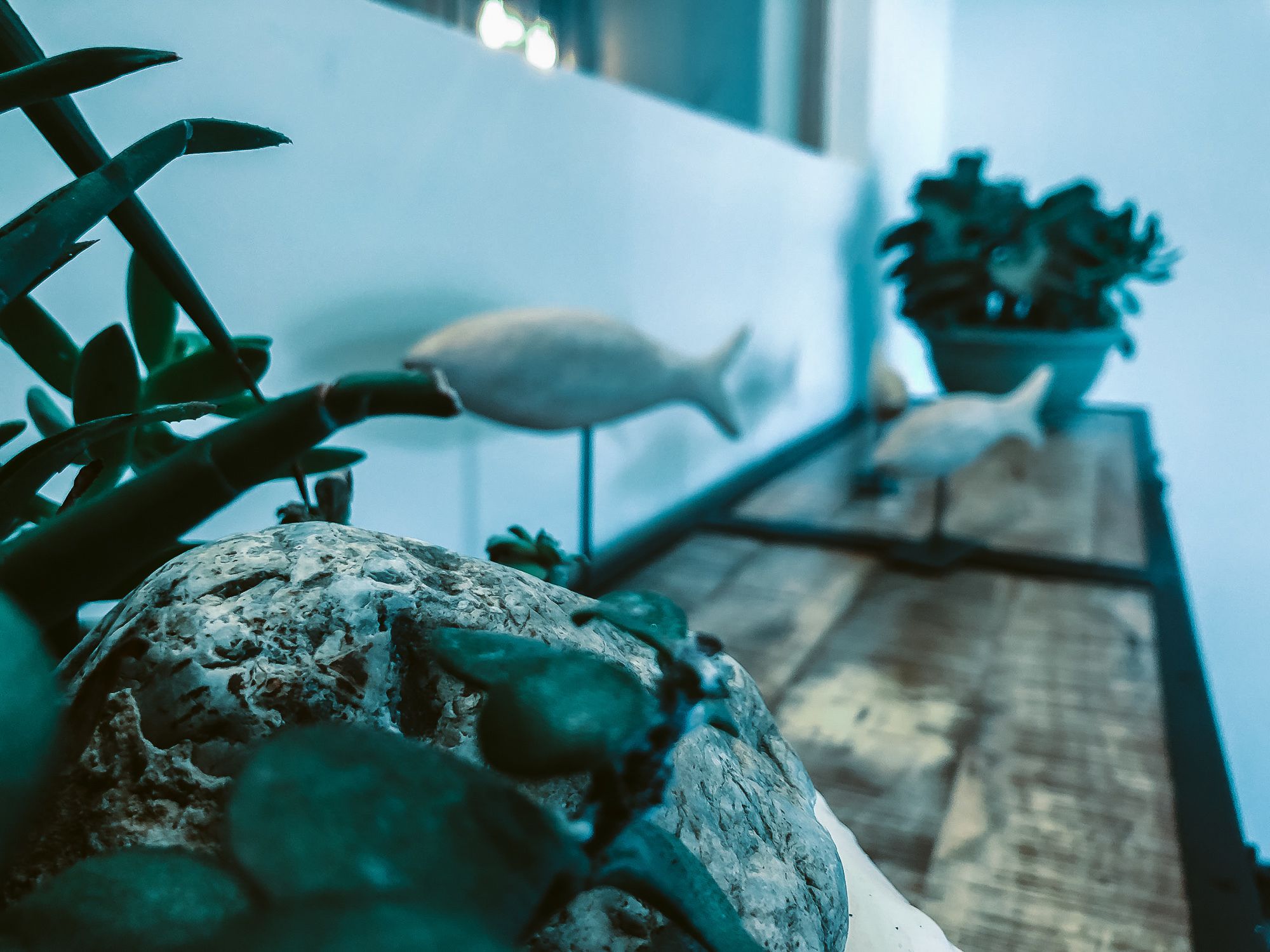 Une pièce avec une grande fenêtre, un mur blanc et une plante posée sur une table.