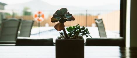 A potted plant with a single flower on a wooden table.