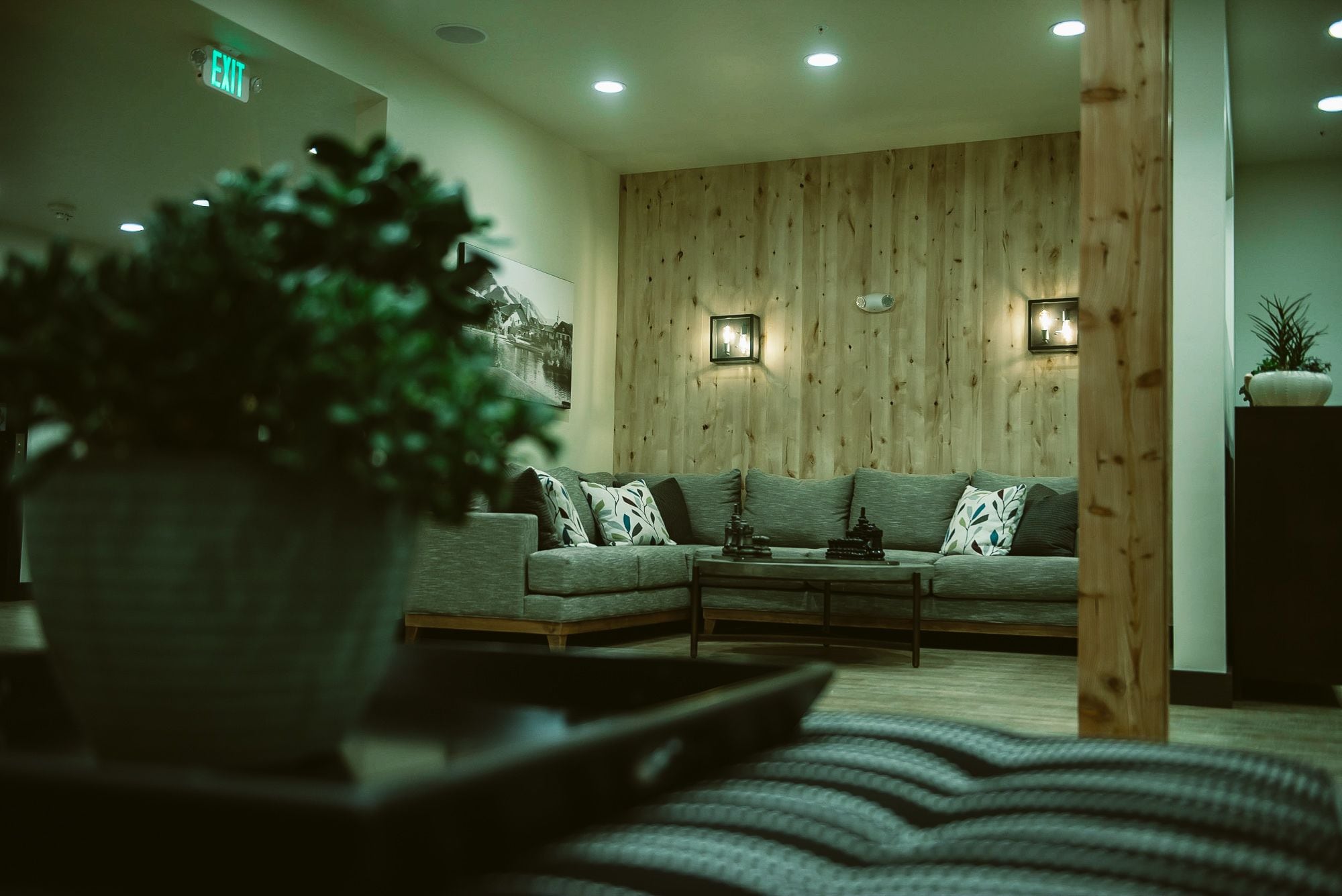 A modern lobby with a wooden wall, a sofa, a coffee table, and a large potted plant.