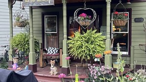 A porch with a dog, a sign for Glenwood Springs Bed and Breakfast, and a variety of potted plants.