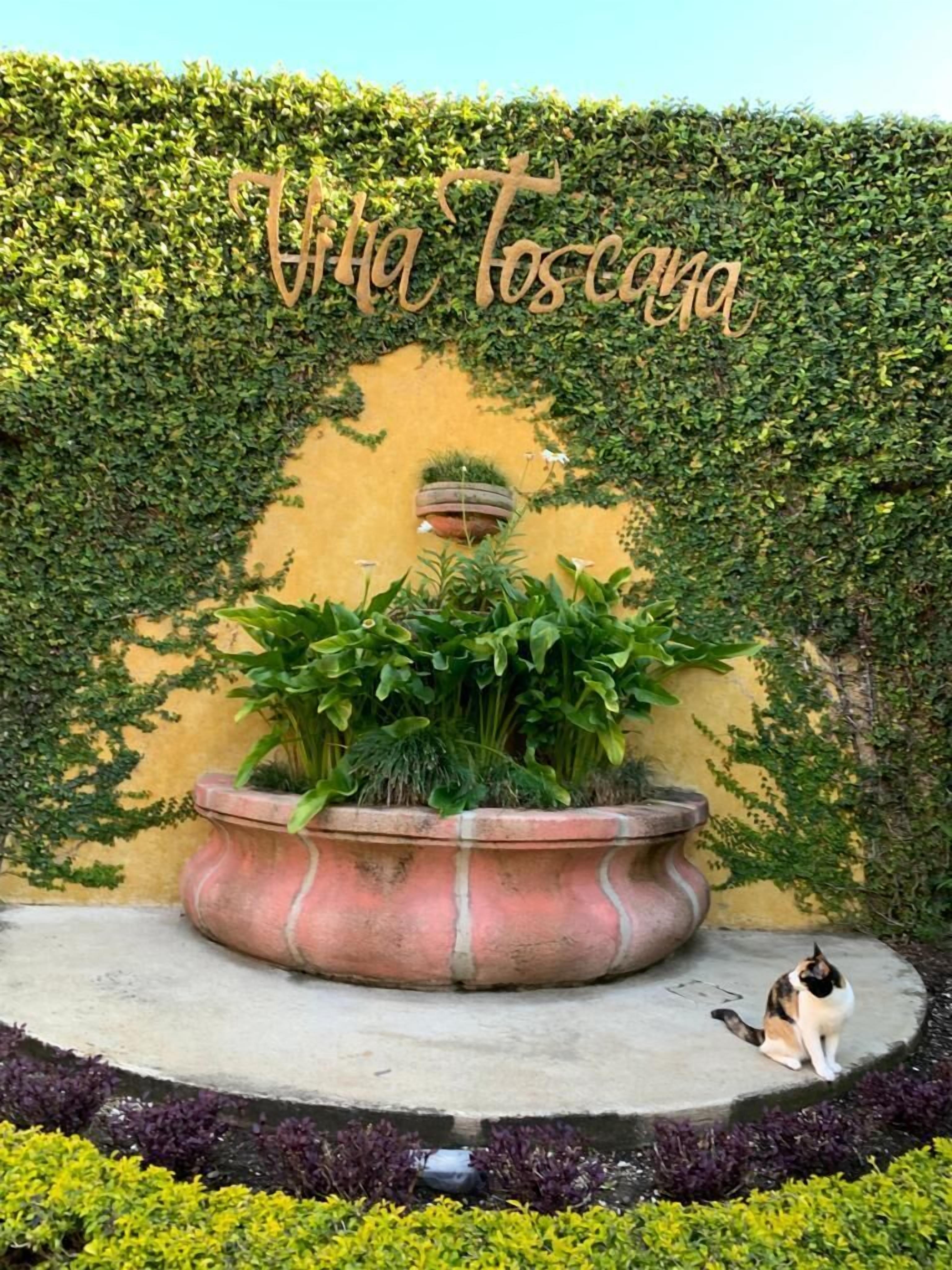 Photo - Hostal Villa Toscana