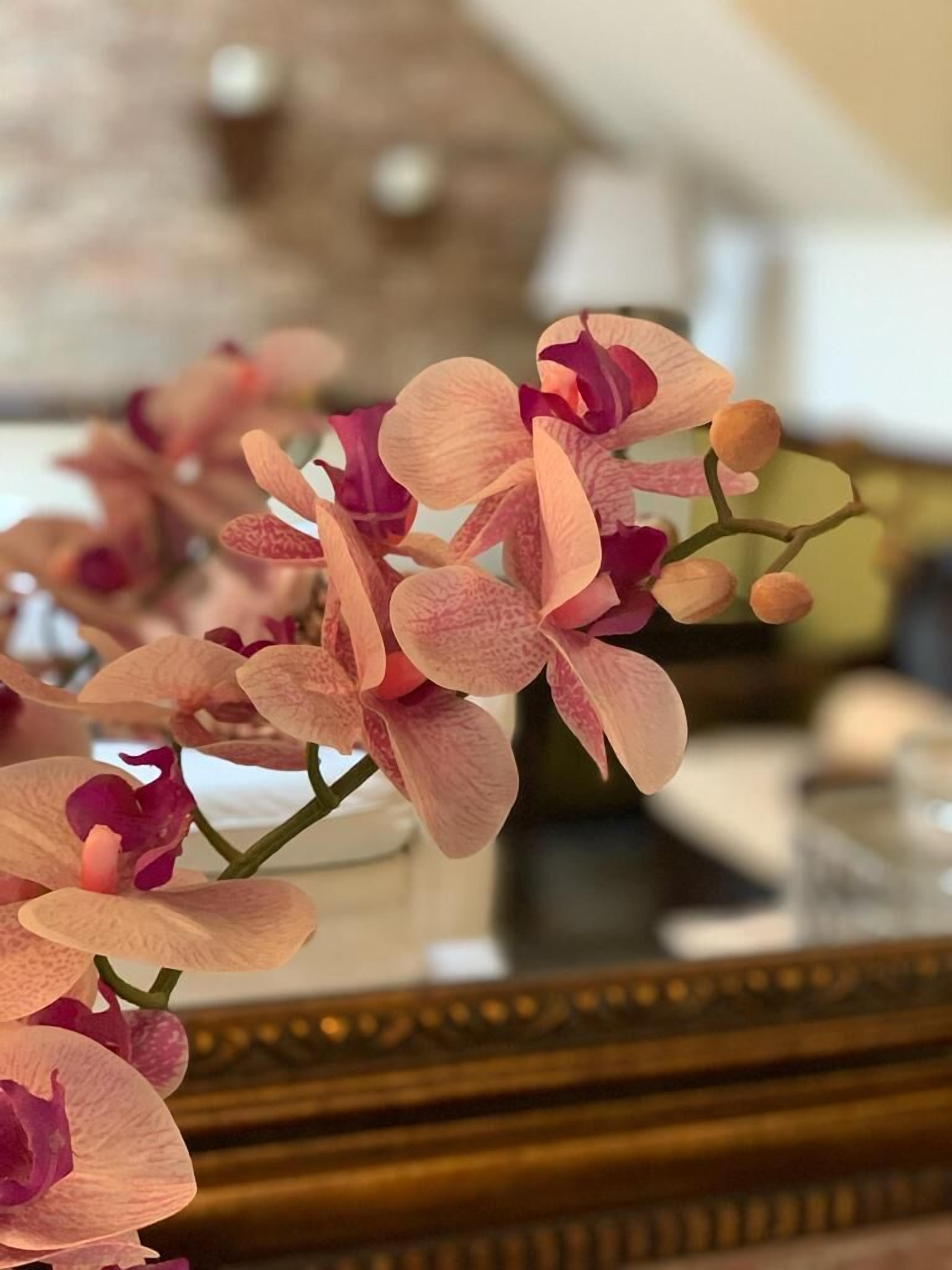 Photo - Hostal Villa Toscana