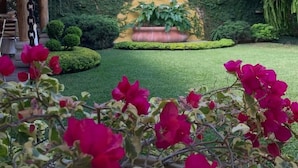 A garden with a wall featuring 'Vita Toscana' text, a potted plant, and a well-maintained lawn. - Hostal Villa Toscana (Guatemala City)