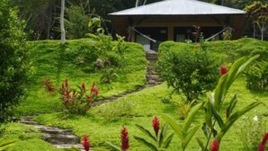 Una casa rodeada de exuberante vegetación y un sendero de piedra.