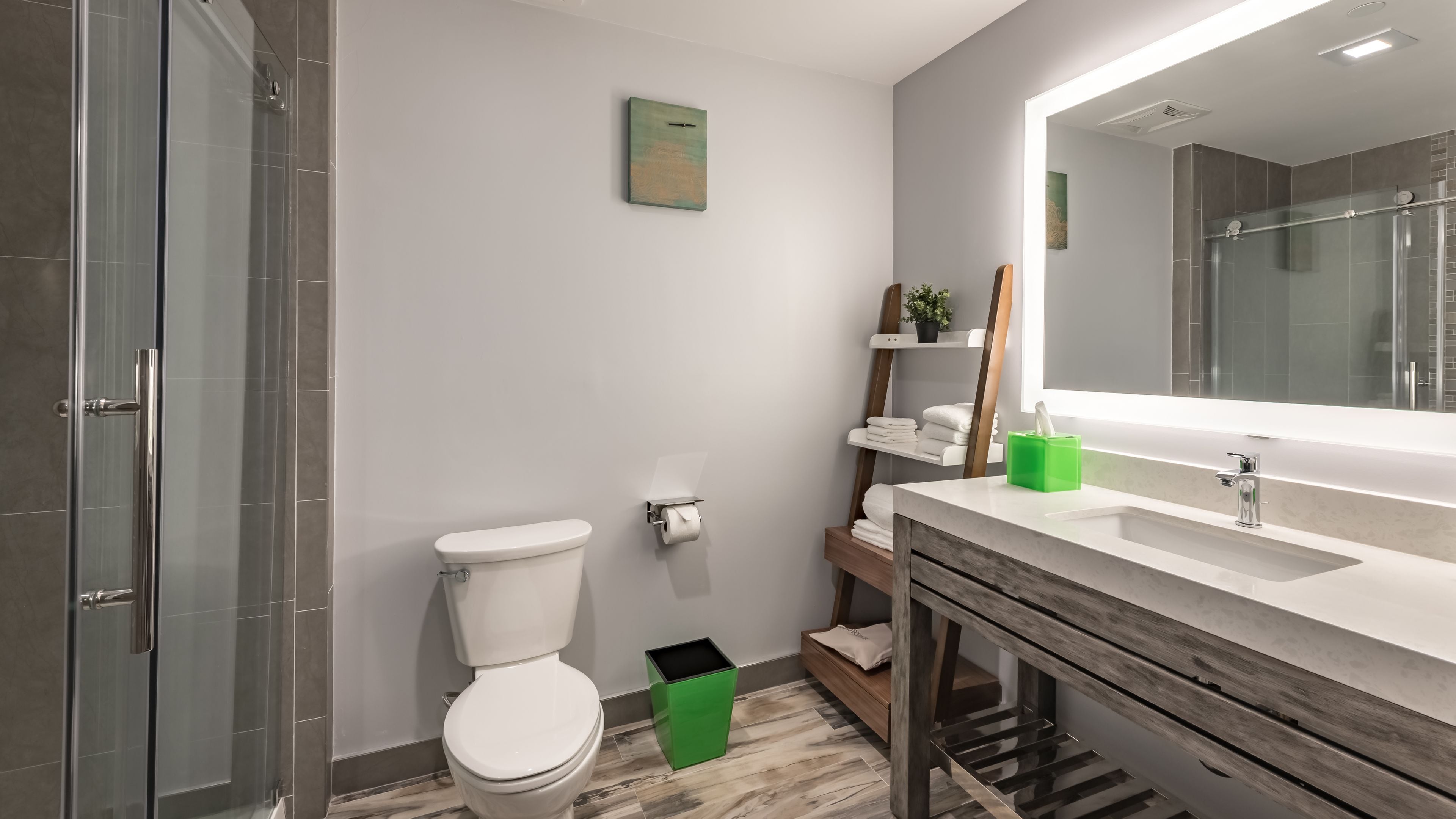 A modern bathroom with a glass shower enclosure, a white toilet, a green trash bin, and a wooden vanity with a mirror.