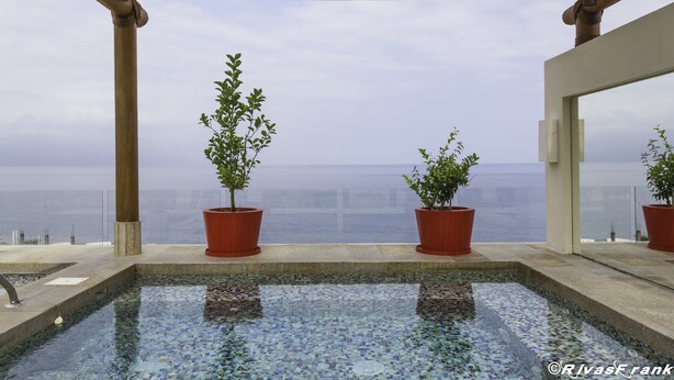 Una piscina con vistas al mar, rodeada de plantas en macetas y una pérgola.
