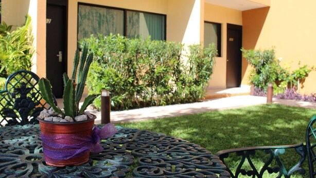 A courtyard with a cactus plant on a metal table, surrounded by greenery and a building with balconies.
