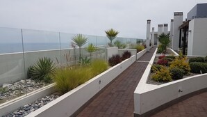 A rooftop garden with a glass barrier, various plants, and a brick pathway. - Lima Flats 2 (Lima)