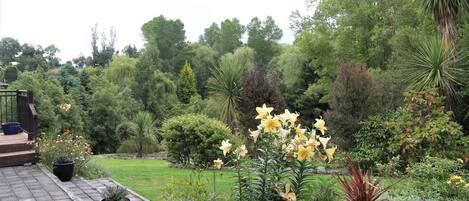 A garden with a variety of plants and trees, a paved walkway, and a wooden deck.