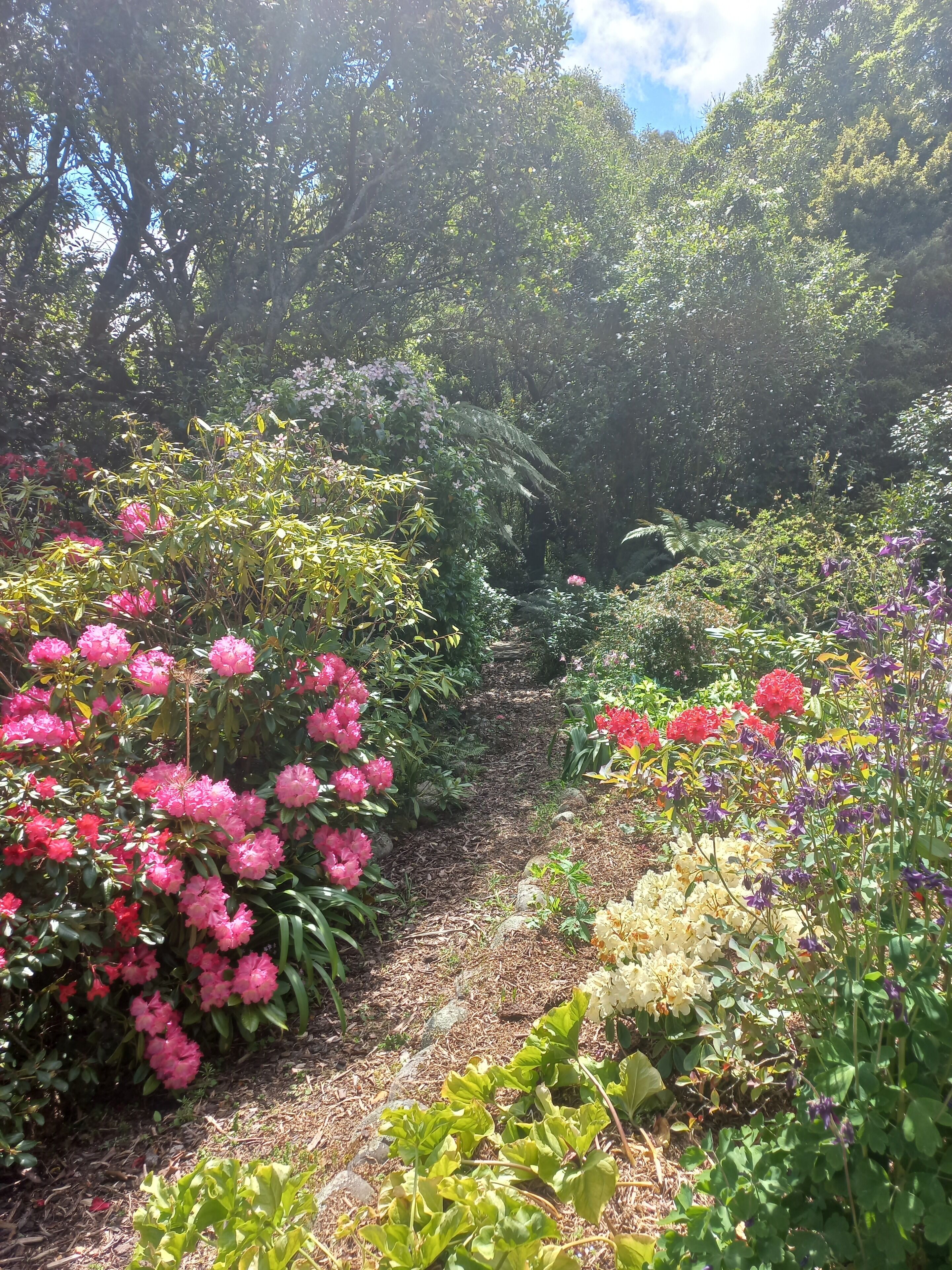 Suite, Ground Floor | Garden view