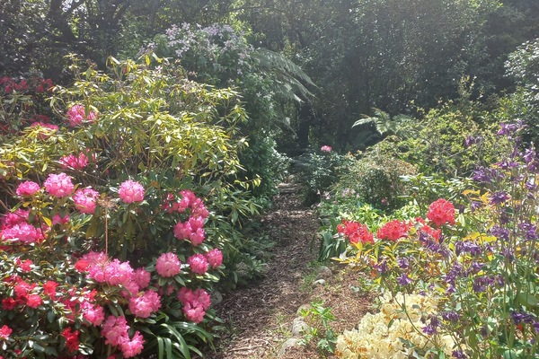 Suite, Ground Floor | Garden view