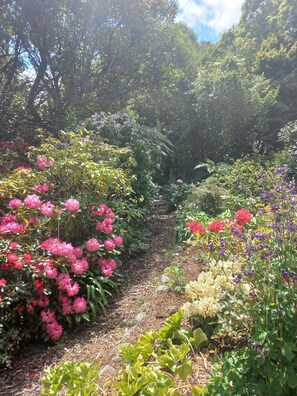 Suite, op benedenverdieping | Uitzicht op de tuin