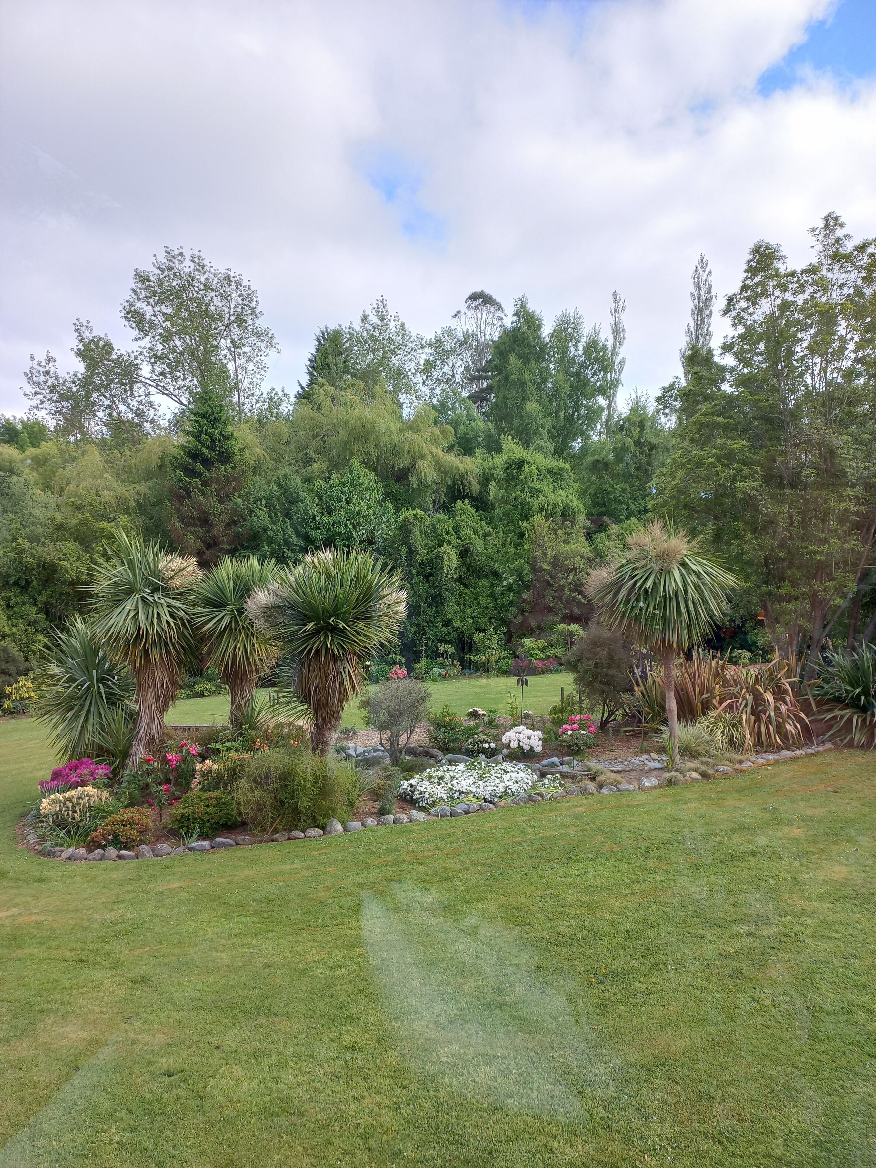 A well-maintained garden with various plants and a small pond.