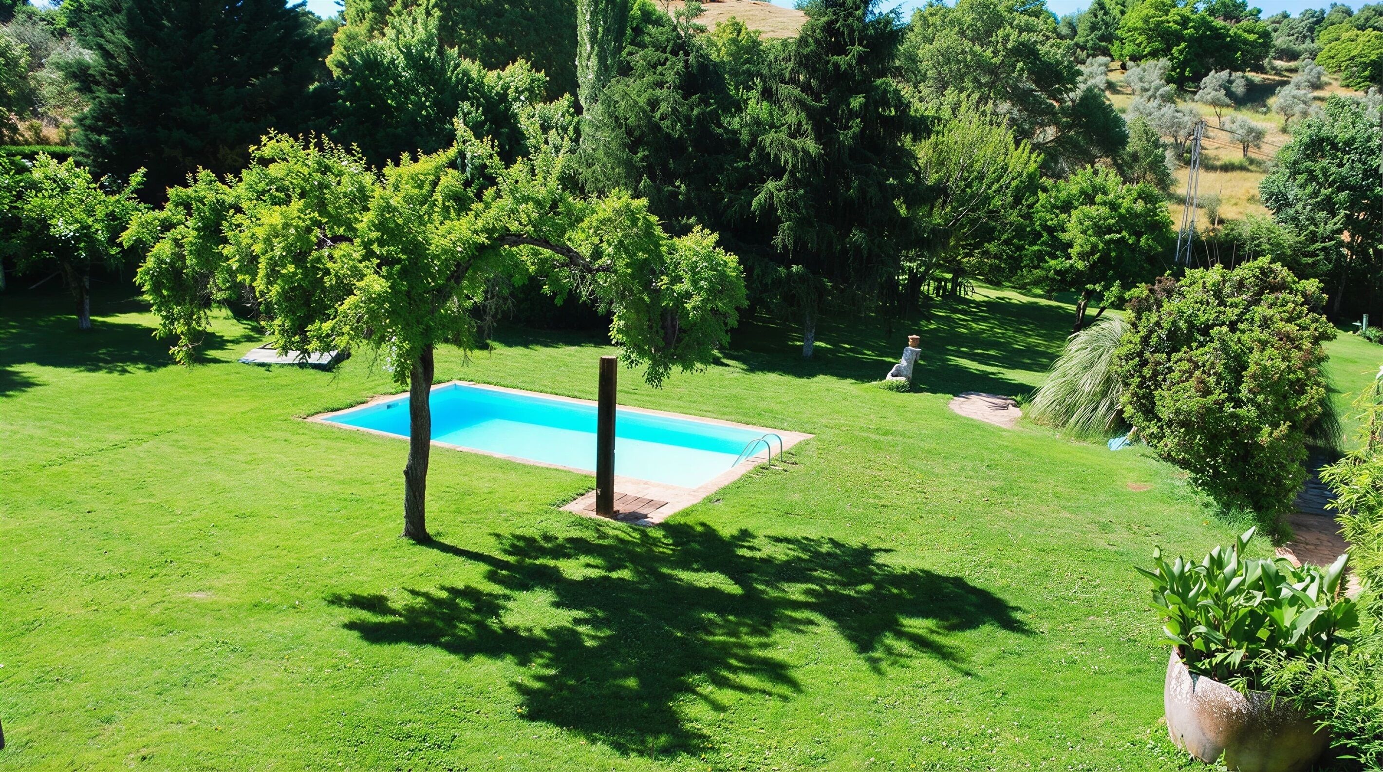 Un patio trasero bien cuidado con una piscina, rodeado de abundante follaje y árboles.