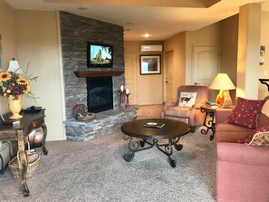 TV, fireplace, DVD player, books