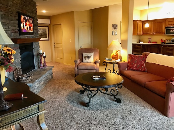 TV, fireplace, DVD player, books