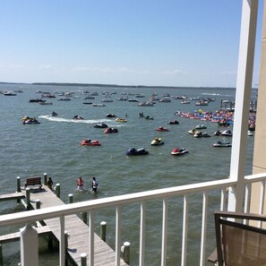 Property grounds -  Packing is easy! linens, towels, beach chairs, beach towels provided! (Ocean City)