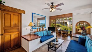 Smart TV, DVD player, books, video library