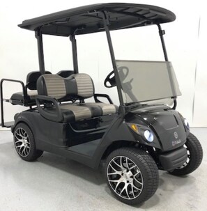 A golf cart with a canopy, two seats, and a steering wheel.