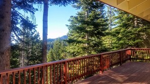 Property grounds - Hot Tub Pool Table Views Decks Game Room by Heavenly Ski Beach Casino Forest 10 (Stateline)