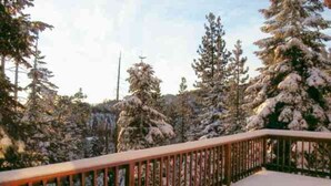 A snow-covered deck with a railing, surrounded by snow-laden trees.