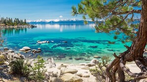 A clear lake with visible rocks and a tree in the foreground.