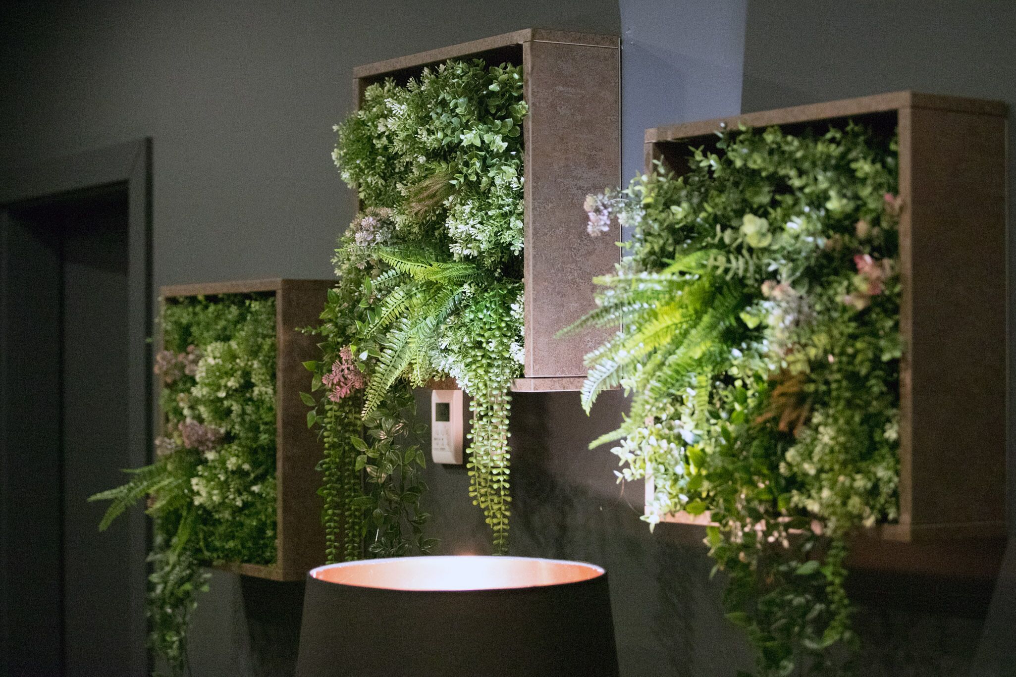 body treatments, body scrubs, facials, manicures and pedicures