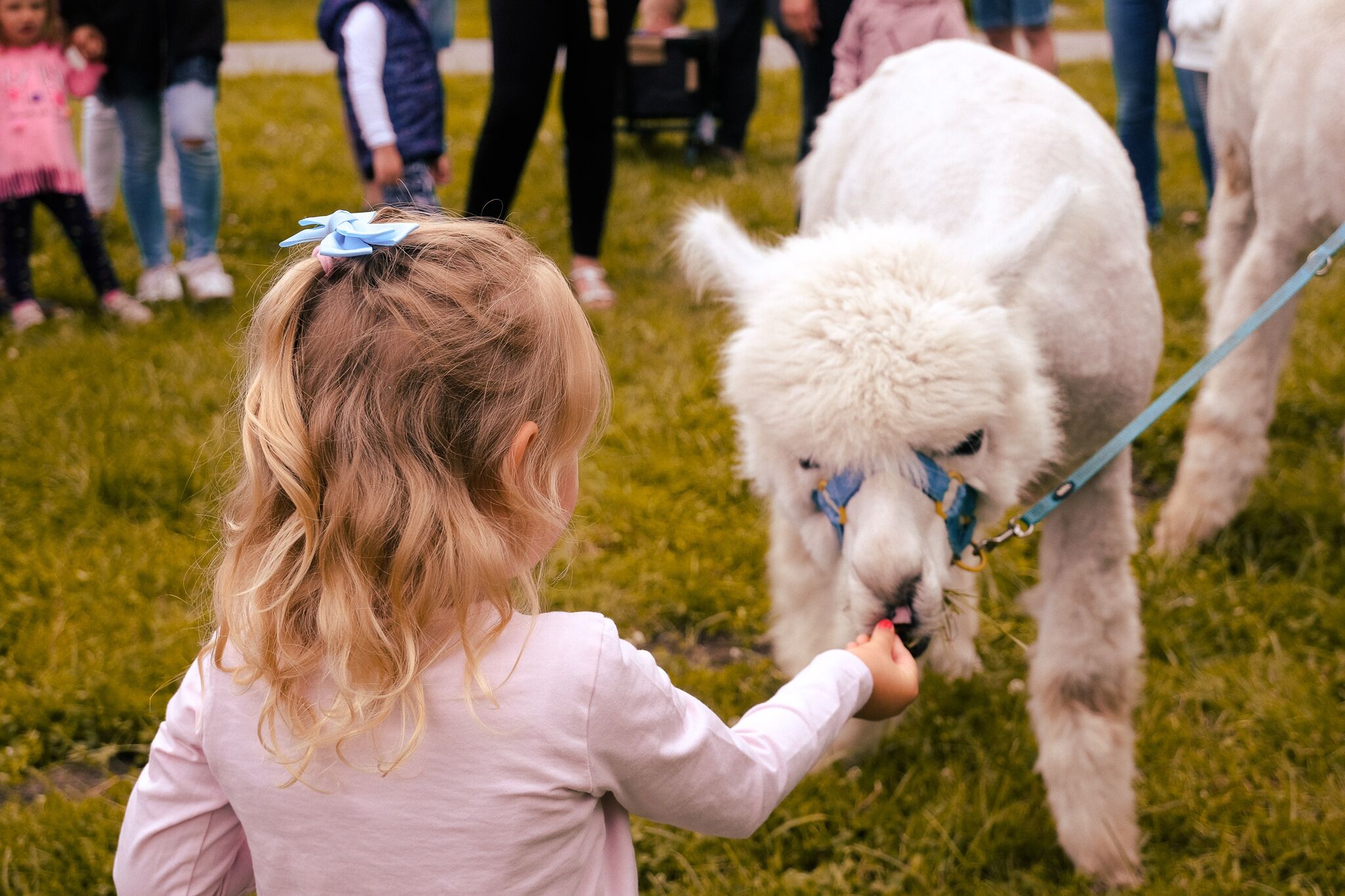 children’s activities