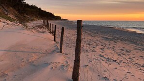 Una playa arenosa con postes de madera y una vista despejada del océano.