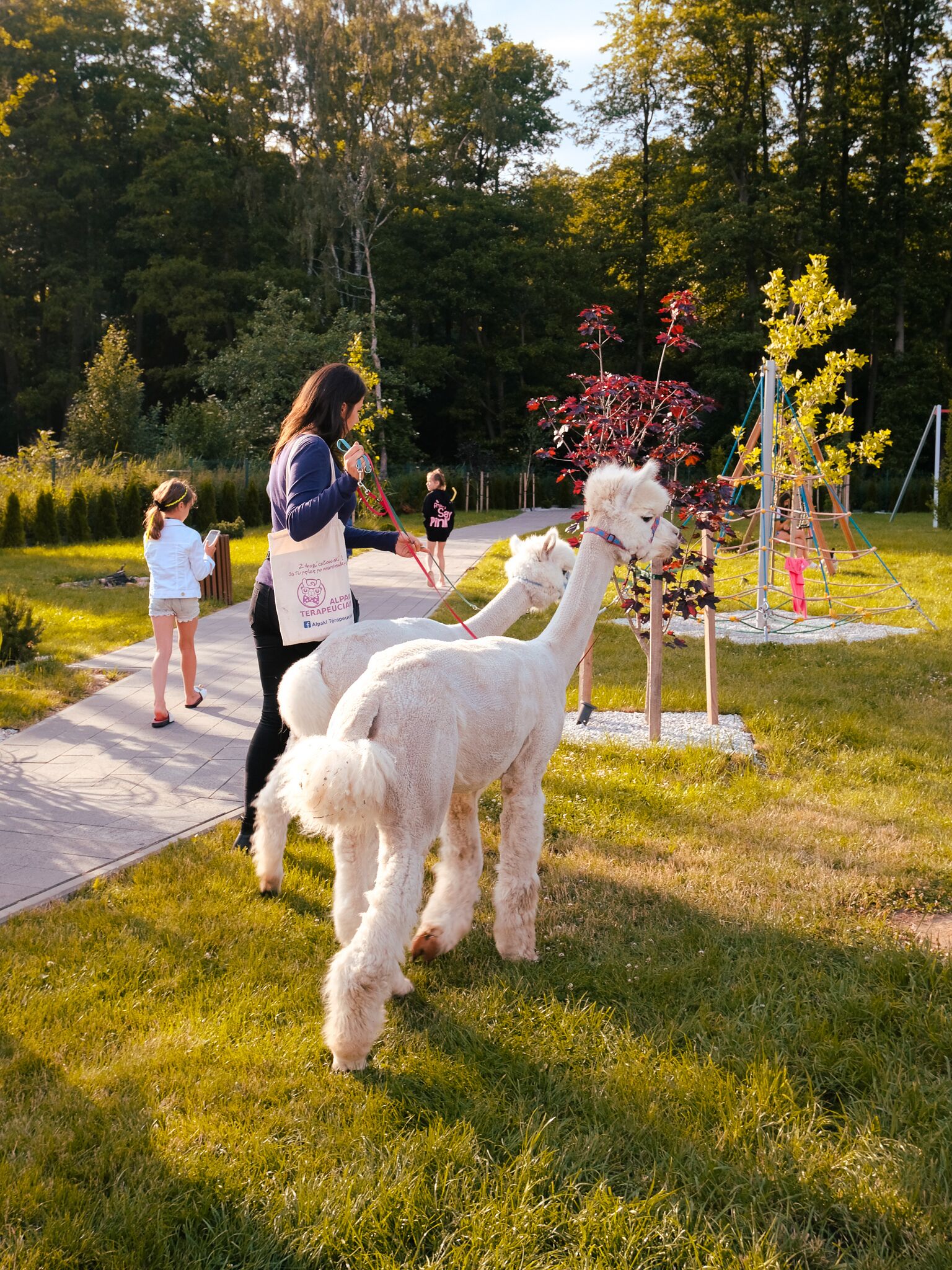 children’s activities