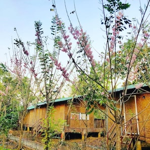 Exterior - Spirit Garden Guesthouse (Tan Phu)
