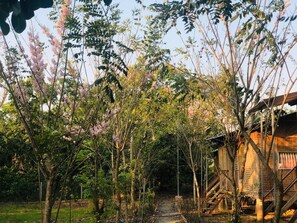 Property grounds - Spirit Garden Guesthouse (Tan Phu)