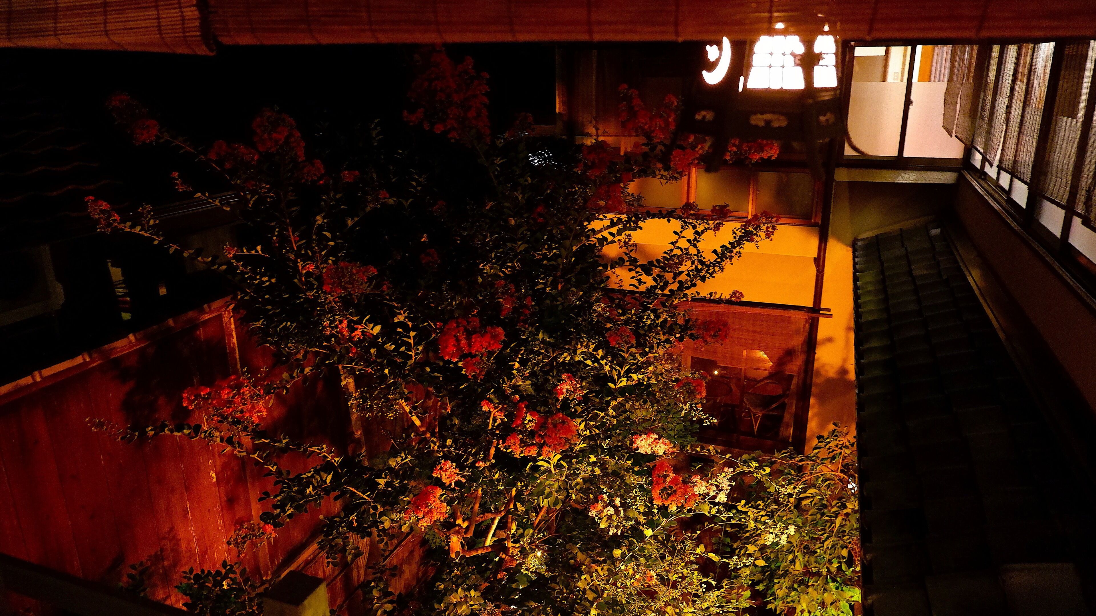 A staircase leading to an upper level with a view of a building's interior and a tree with red flowers.