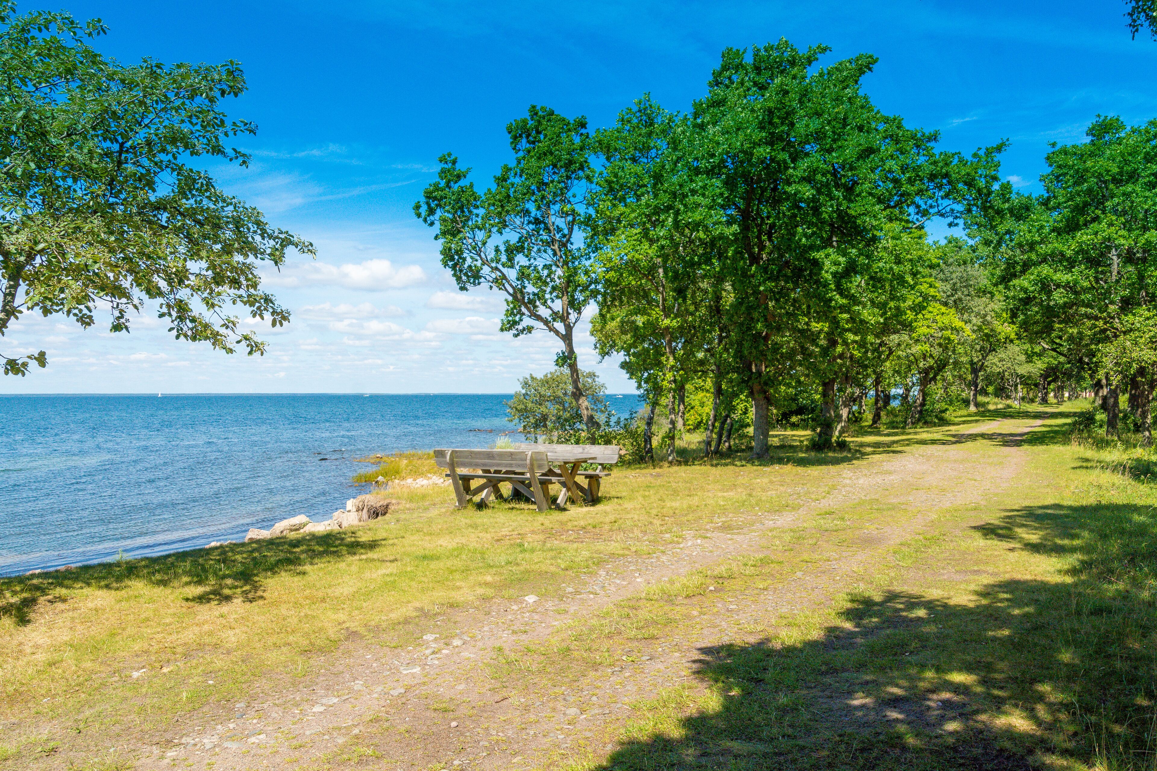 A picnic area with a bench by a lake, surrounded by trees and a clear sky.
