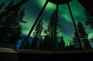 A view of the Northern Lights through a window with a geometric frame, surrounded by tall trees.