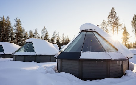 A row of snow-covered cabins with a clear sky and trees in the background.