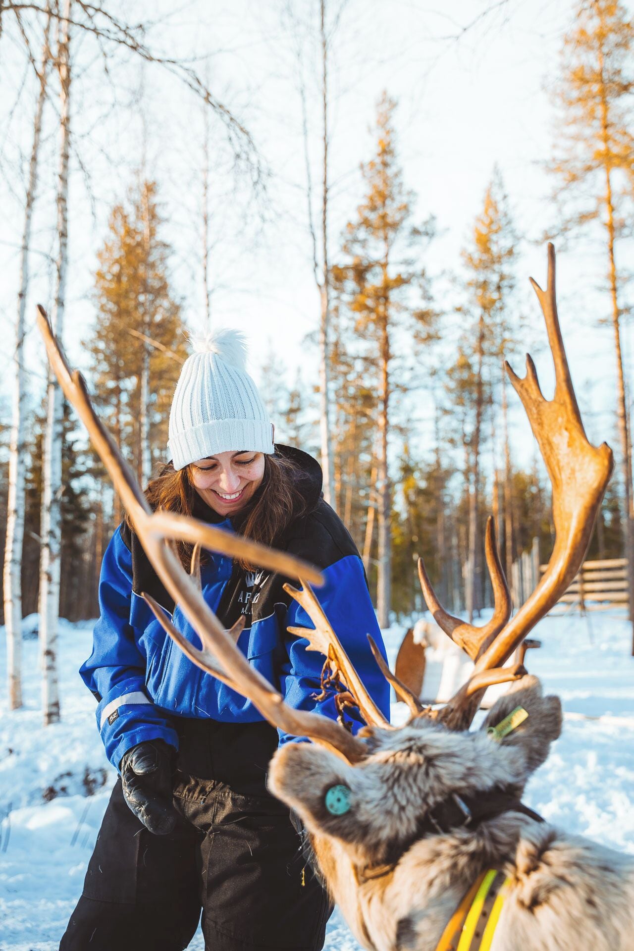 Foto - Apukka Resort