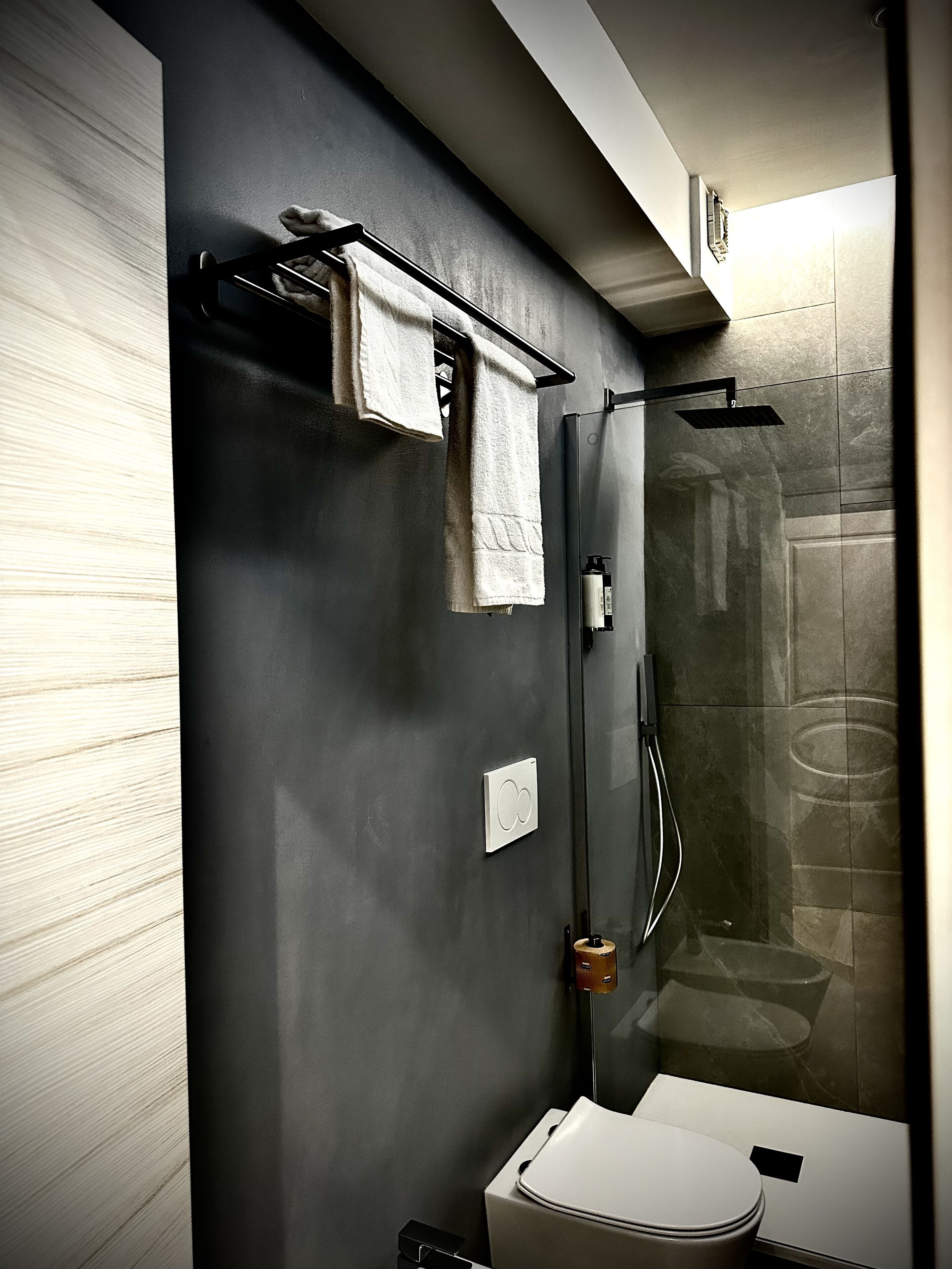 A modern bathroom with a glass shower enclosure, a towel rack, and a toilet.