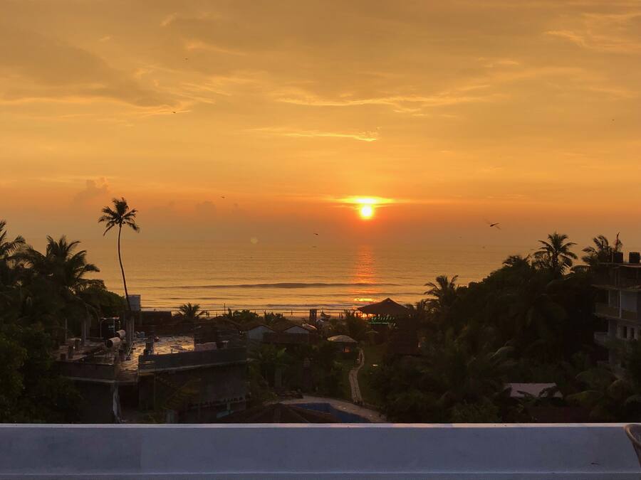 Atardecer sobre una zona costera con edificios y palmeras visibles.
