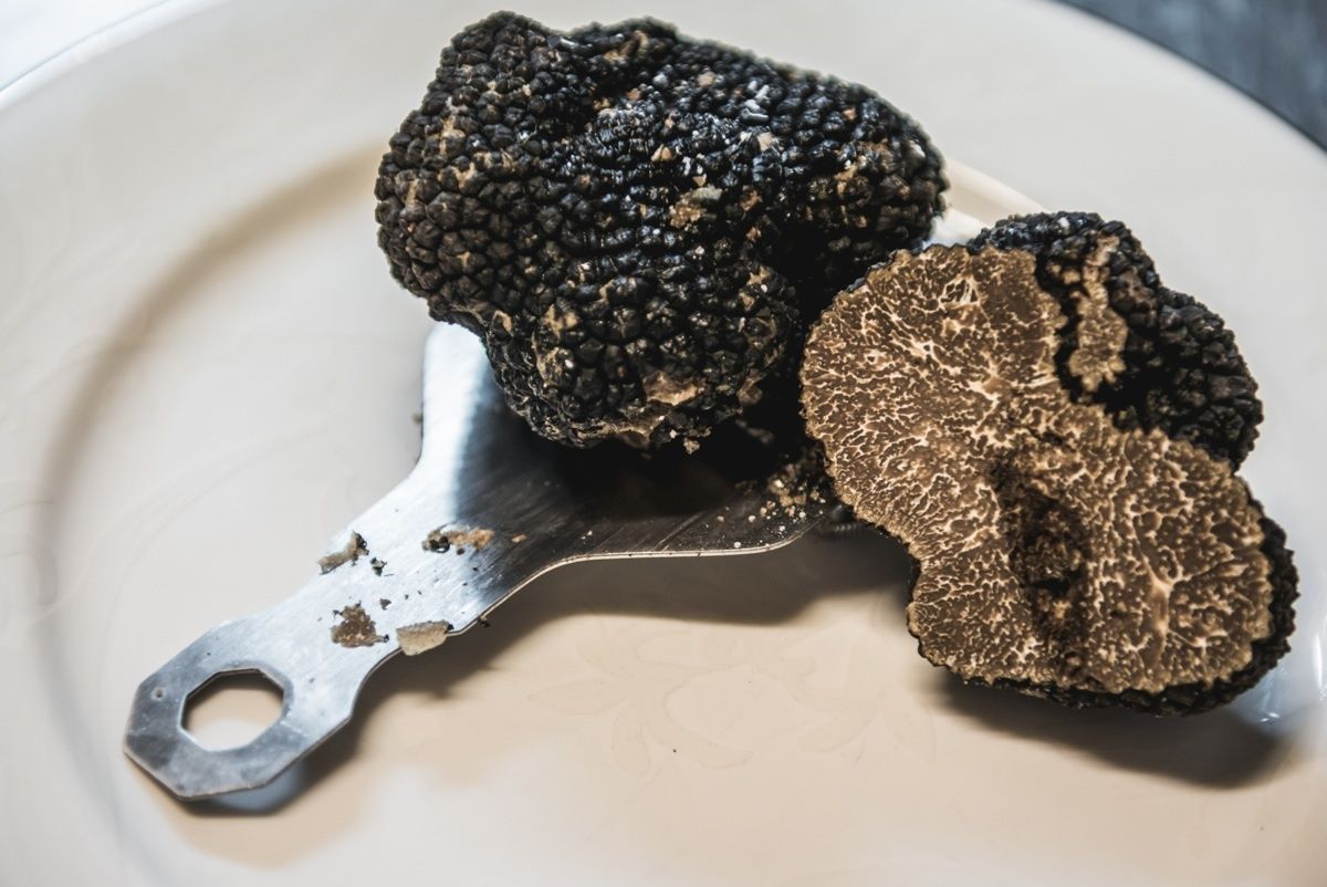 Une assiette avec deux morceaux de truffe.