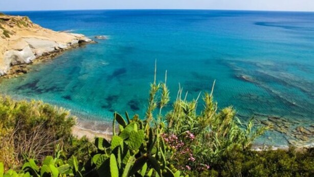 Un paisaje costero con aguas azules cristalinas, un litoral rocoso y abundante vegetación en primer plano.