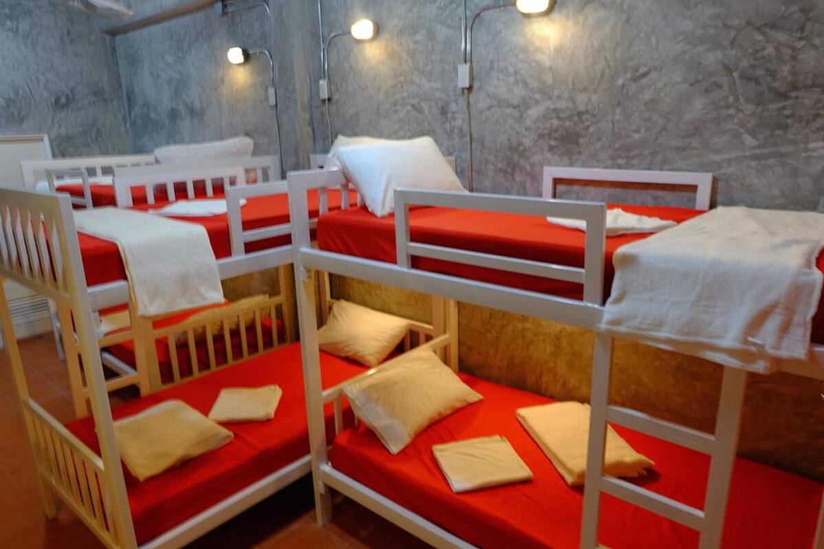 6-Bed Mixed Dormitory 