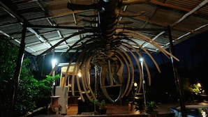 En stor, abstrakt skulptur med flere buede elementer, muligvis af metal, placeret under et tag med metalstel.