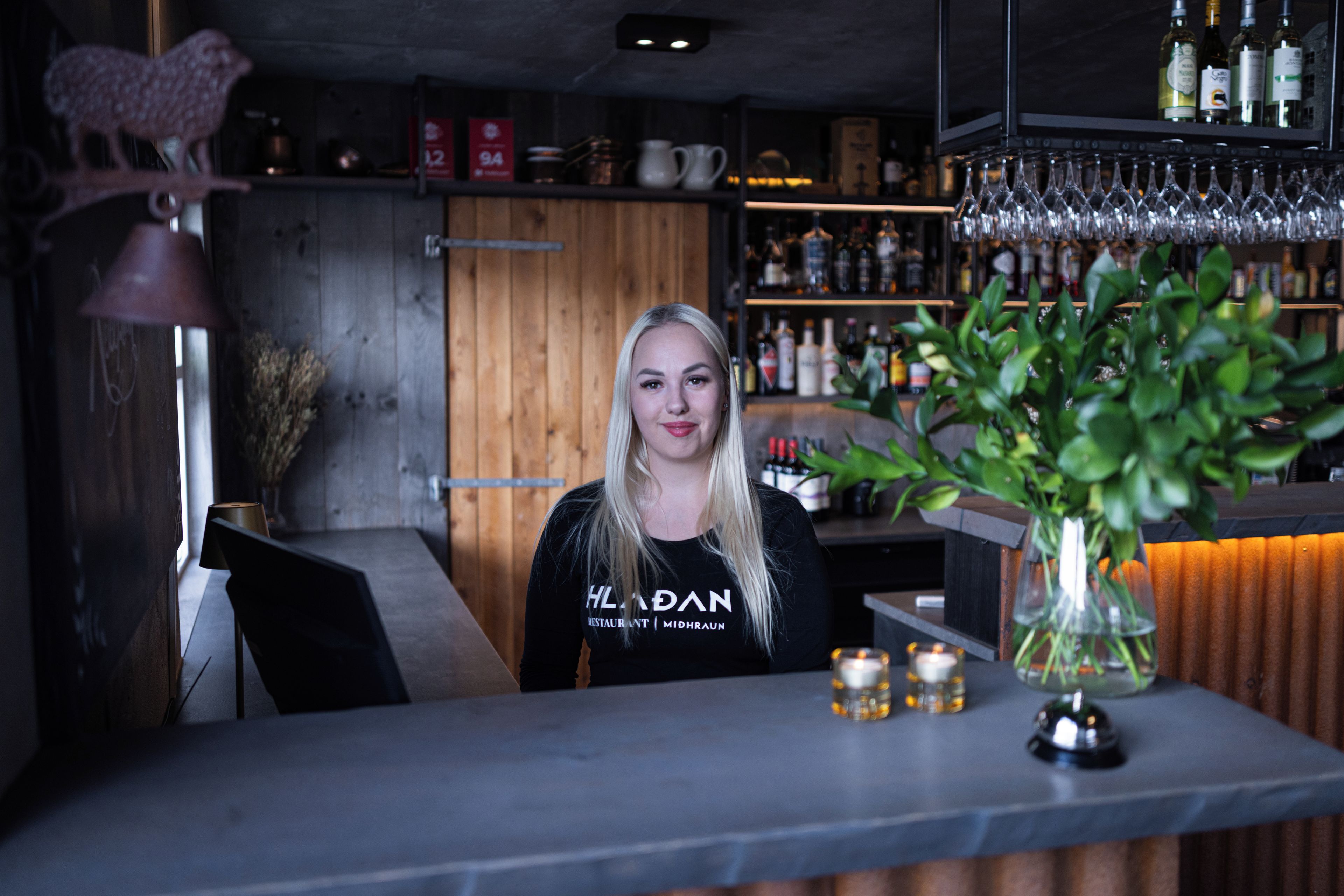 A bar area with a counter, a plant, and a shelf with bottles and glasses.