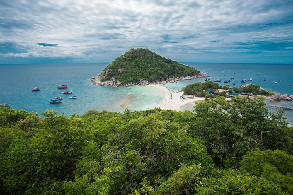 The Ozo Koh Tao