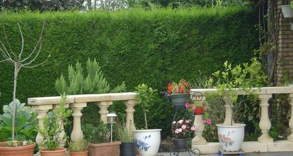 B&B Le Castillon