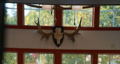 Bjursas Skicenter & Camping