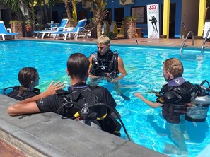 Piscina a l'aire lliure i gandules
