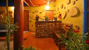 Uma área de bar com balcão de madeira, ventilador de teto e mobiliário rústico, além de vasos com plantas.